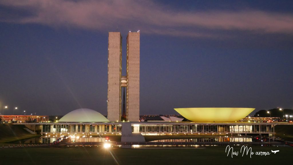 ブラジリア国会議事堂