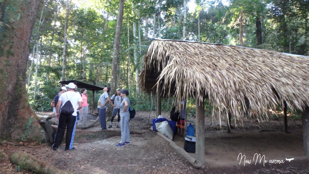 アマゾンジャングルキャンプ